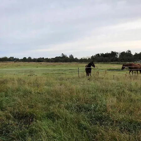 On Magical Nature Plot For Families
