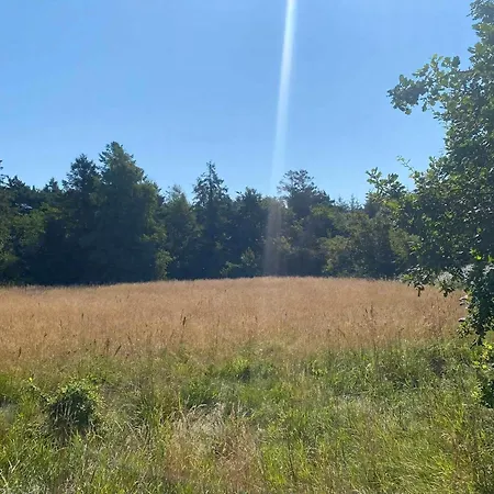Op Avontuurlijk Natuurterrein Voor Gezin Vakantiehuis Hadsund