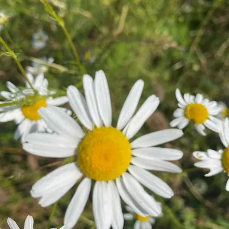 Сasa de vacaciones On Magical Nature Plot For Families