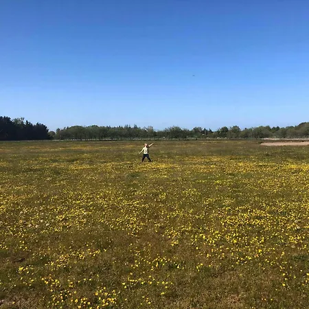 On Magical Nature Plot For Families