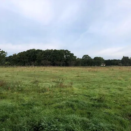 Vakantiehuis Op Avontuurlijk Natuurterrein Voor Gezin Hadsund
