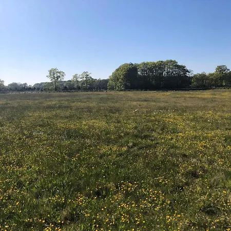 On Magical Nature Plot For Families *