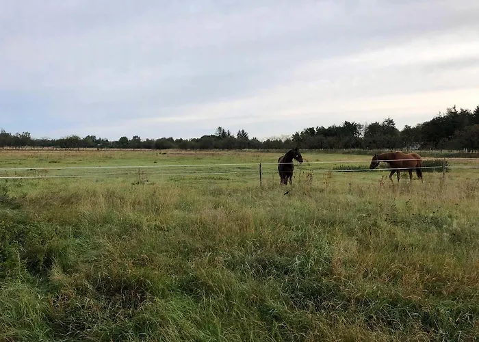 On Magical Nature Plot For Families