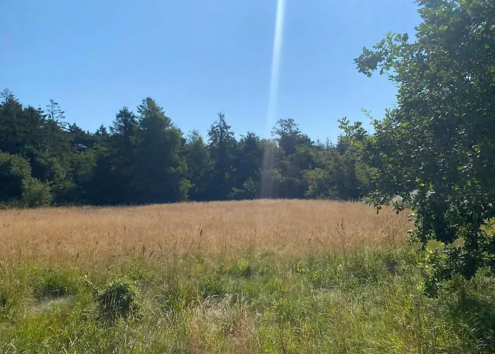 On Magical Nature Plot For Families Сasa de vacaciones Hadsund