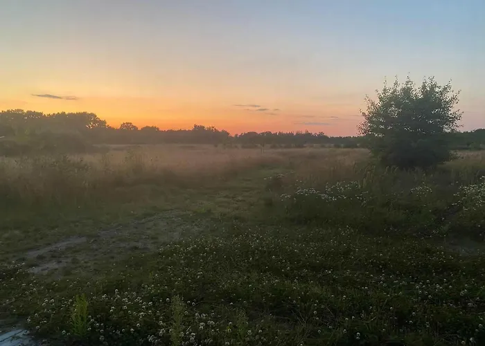 On Magical Nature Plot For Families