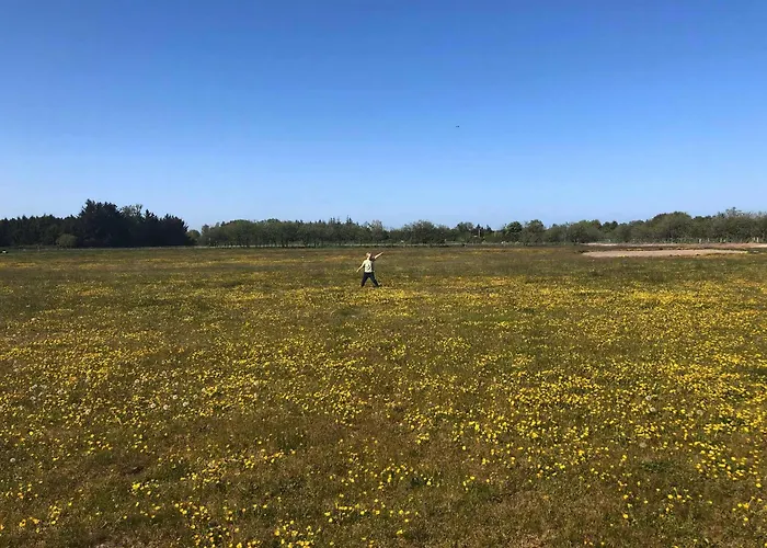 On Magical Nature Plot For Families