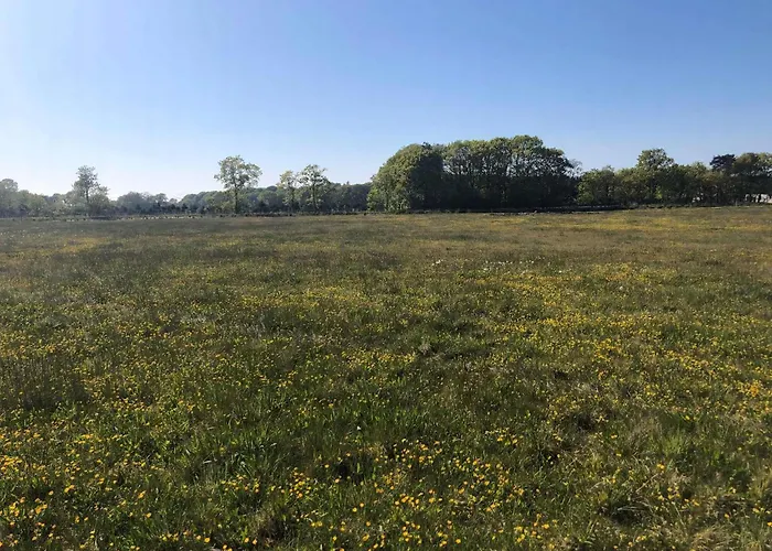 On Magical Nature Plot For Families *